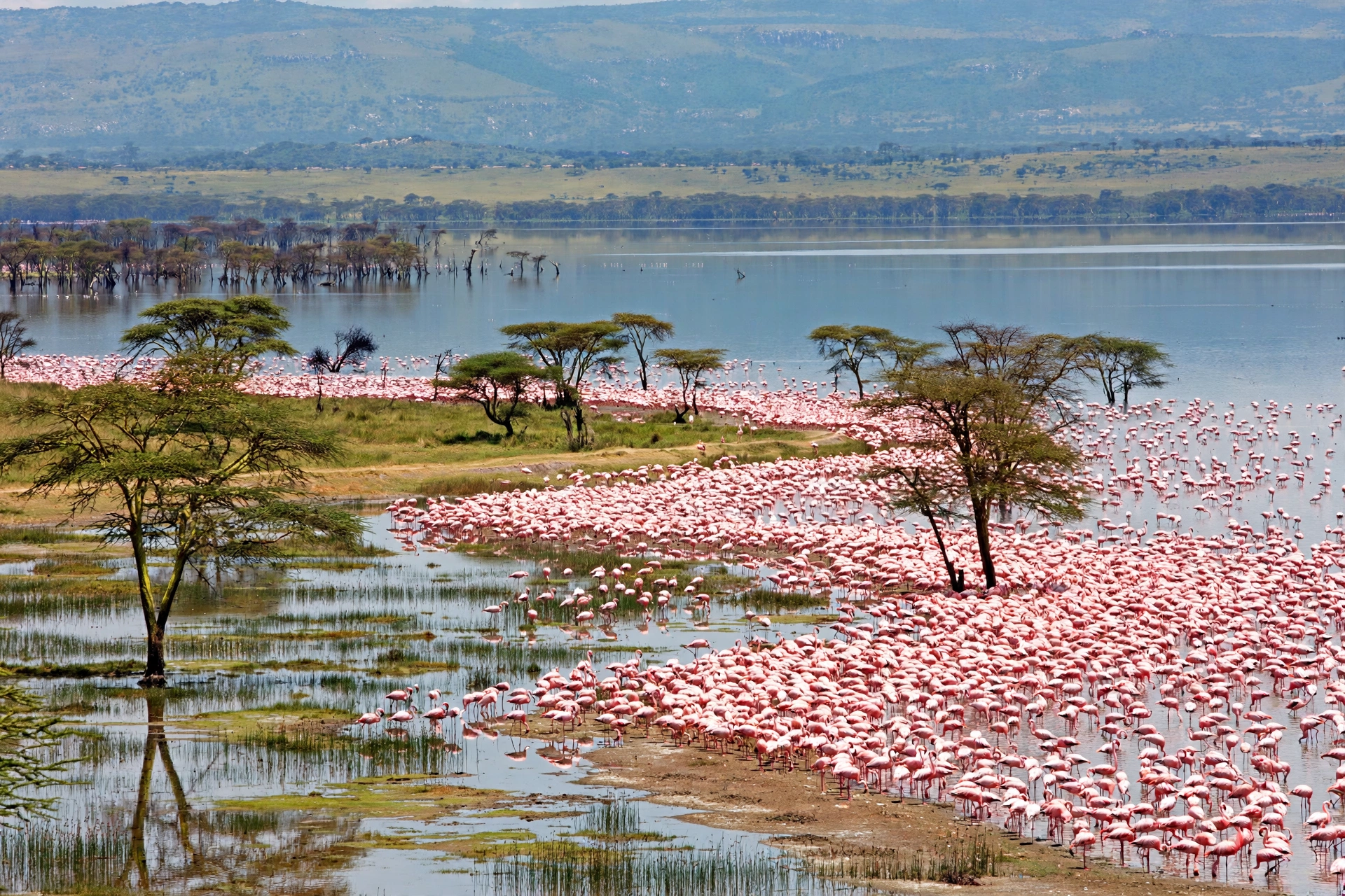 5-Day Lakes & Maasai Mara